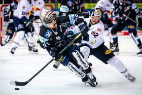 Gegner-Check: Roosters auf Playoff-Mission 