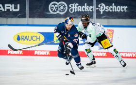 Spitzenreiter gegen Kellerkind: Red Bulls empfangen am Freitag Bietigheim