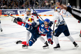 Teil 1 des Topspiel-Doppelpacks: Red Bulls zu Gast in Mannheim