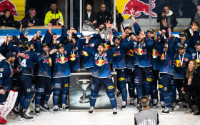 Red Bull - soccer and ice hockey academy Liefering 