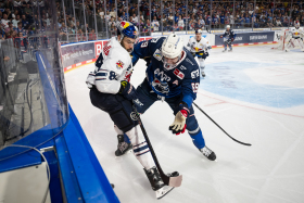 Ausverkauftes Topspiel am Sonntag: Red Bulls gegen Mannheim gefordert