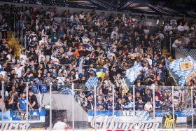 Fans Fans
