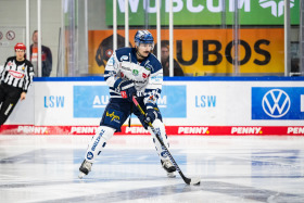 Bild Roosters Bild Roosters