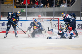 The Eisbaeren Bremerhaven Will Always Be A Positive Experience For