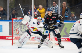 Derby-Schmankerl zu Weihnachten: Red Bulls empfangen Straubing