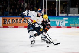 Beaten Lions: Red Bulls want another three-pointer against Frankfurt