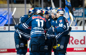 Home win against Cologne: Red Bulls keep the Sharks at bay