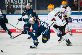 Red Bulls lose in game 4: Bremerhaven makes it 3:1 in the semi-final