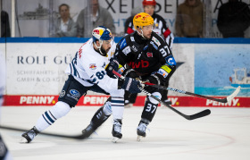 Game 5 goes to Bremerhaven: Red Bulls eliminated from playoff semi-final