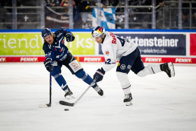 Hauptrundenfinale in Straubing: Red Bulls zu Gast bei den Tigers