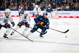 Klassiker zum Hauptrunden-Abschluss im SAP Garden: Red Bulls erwarten Mannheim