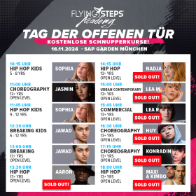 Bild Programm Flying Steps Bild Programm Flying Steps