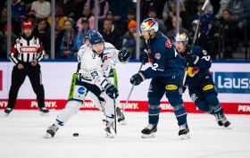 Derby geht an Straubing: Red Bulls müssen sich den Tigers geschlagen geben