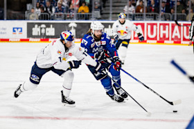 Two heavyweights face off in the playoff dance: series preview for the quarter-final against Mannheim