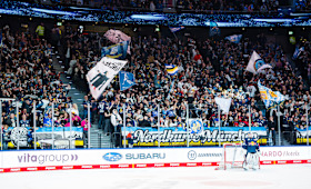 Fans Fans