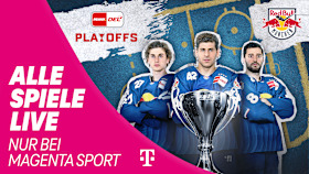 Magenta Banner 