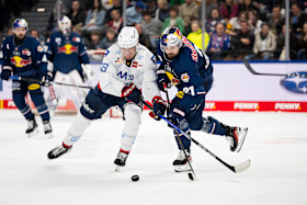 Spiel 4 geht an Mannheim: Red Bulls müssen Serienausgleich hinnehmen