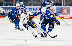 2:3 in der Viertelfinalserie: Red Bulls unterliegen in Spiel 5 in Mannheim 2:3 in der Viertelfinalserie: Red Bulls unterliegen in Spiel 5 in Mannheim