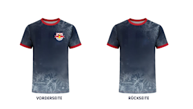 Fanshirt-Design Nummer 1 Fanshirt-Design Nummer 1