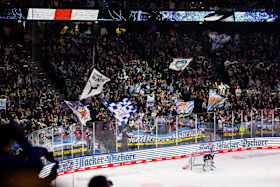 Fans Fans
