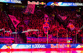 Fans Fans