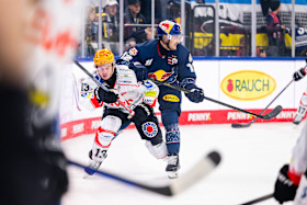 Keine Punkte zum Heimauftakt: Red Bulls unterliegen Bremerhaven  