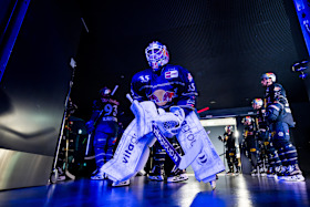 Niederberger Niederberger