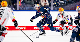 Revanche vor vollem Haus: Red Bulls empfangen Bremerhaven 