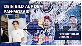 Fan-Mosaik