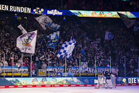 Fans