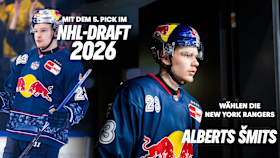 Visual Smits NHL