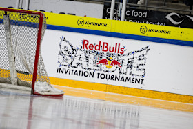 Red Bulls Salute Logo Bande Red Bulls Salute Logo Bande