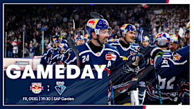 Gameday