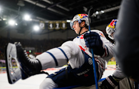 Bayerisches Topspiel am Pulverturm: Auswärtsstarke Red Bulls fordern die Straubing Tigers