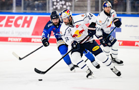 Red Bulls müssen sich Straubing geschlagen geben