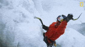 GIF GIF