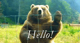 GIPHY Grizzly GIPHY Grizzly