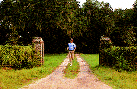 Rennen gif Rennen gif
