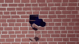 20231221 | GIPHY WALL 20231221 | GIPHY WALL