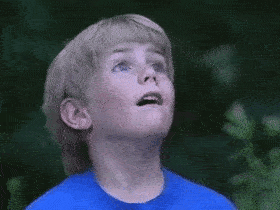 GIPHY FAST GIPHY FAST
