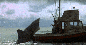 Der Weiße Hai Gif