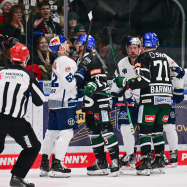 Derbyzeit: Red Bulls gastieren bei den Augsburger Panthern