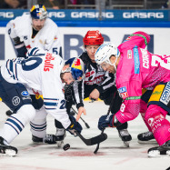 Red Bull Munich loses in championship duel at Eisbären Berlin