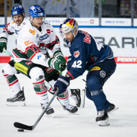 Derbytime am Oberwiesenfeld: Red Bulls erwarten Panther Derbytime am Oberwiesenfeld: Red Bulls erwarten Panther