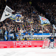 Ausverkauft! Spitzenspiel gegen Kölner Haie im vollen SAP Garden