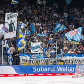Erneut voller SAP Garden: Derby gegen Straubing ausverkauft