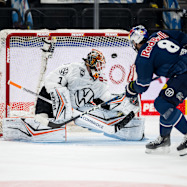 Visiting Lower Saxony: Red Bulls challenged by the Grizzlys Visiting Lower Saxony: Red Bulls challenged by the Grizzlys