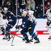 Nächstes Derby: Red Bulls erwarten die Straubing Tigers im SAP Garden