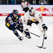 Topduell in der Hauptstadt: Red Bulls gastieren bei den Eisbären Berlin Topduell in der Hauptstadt: Red Bulls gastieren bei den Eisbären Berlin
