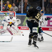 Red Bulls gehen in Straubing leer aus Red Bulls gehen in Straubing leer aus